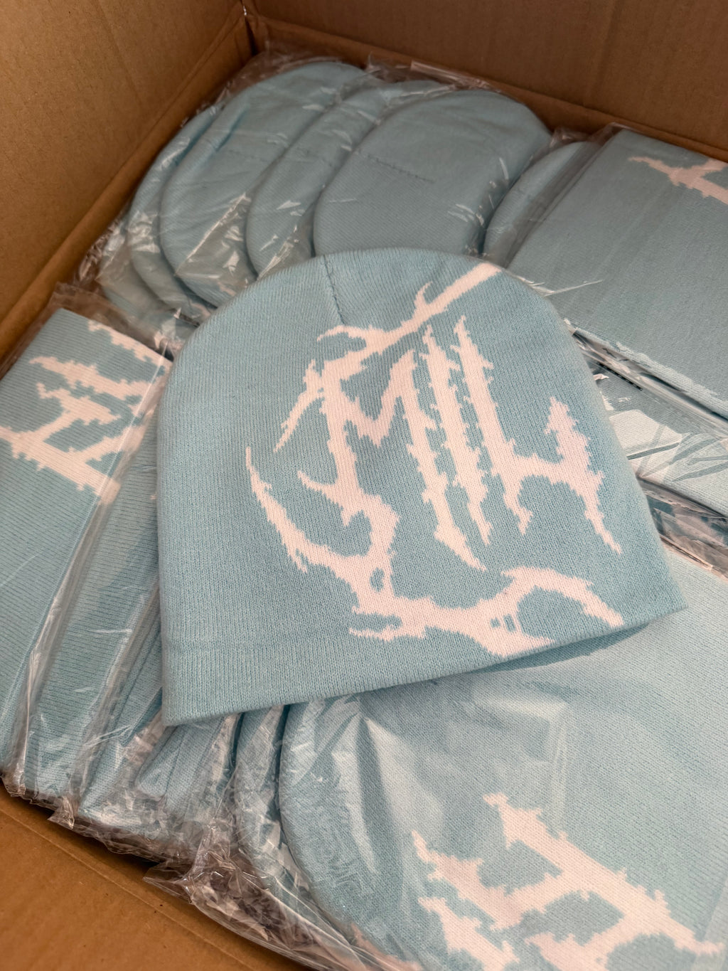 MILKY SKULL BEANIE